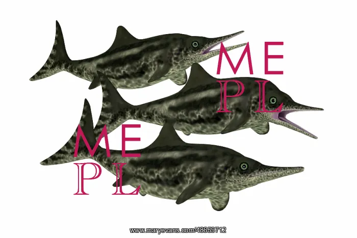 : Group of Stenopterygius aquatic reptiles from : Group of Stenopterygius aquatic reptiles from