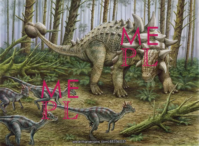 : A group of Stygimoloch dinosaurs encounter a Euoplocephalus : A group of Stygimoloch dinosaurs encounter a Euoplocephalus