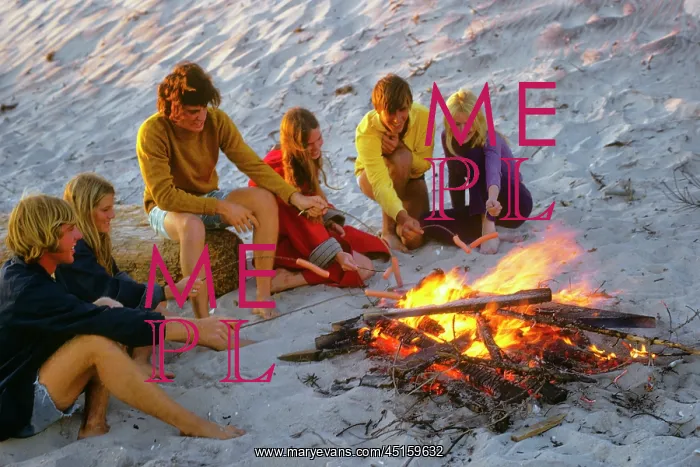: Group Teens Around Campfire on Beach Roasting : Group Teens Around Campfire on Beach Roasting