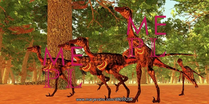 : Group of Troodon dinosaurs huntng in the woods : Group of Troodon dinosaurs huntng in the woods