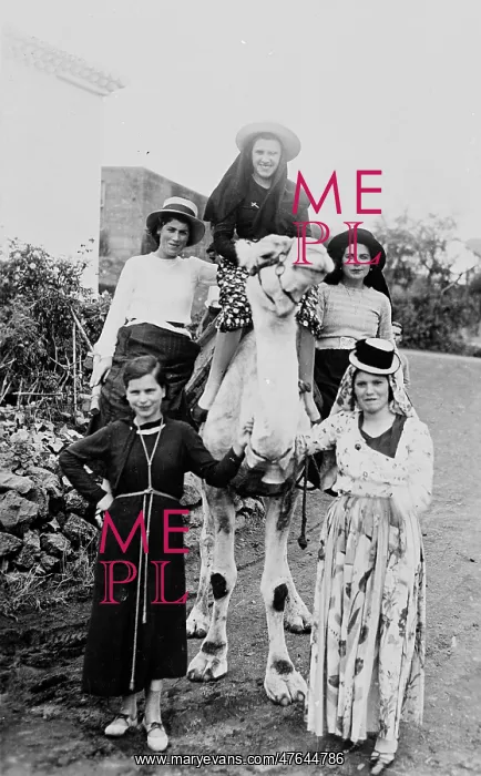 : Group of women with camel, Canary Islands : Group of women with camel, Canary Islands