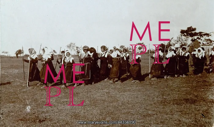 : Group of women, in working : Group of women, in working