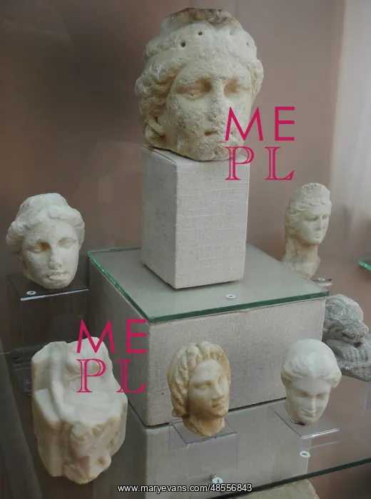 : Group of women's heads : Group of women's heads