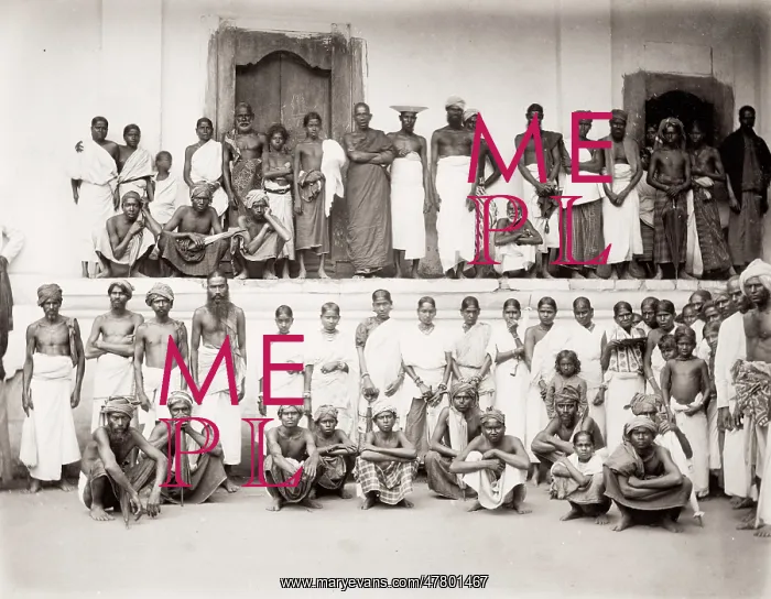 : Group of workers, India or Sri Lanka : Group of workers, India or Sri Lanka