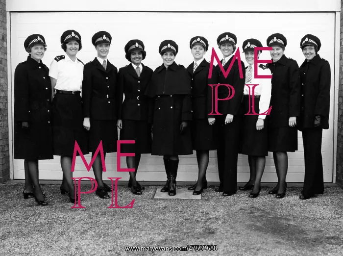 : A group of WPCs : A group of WPCs