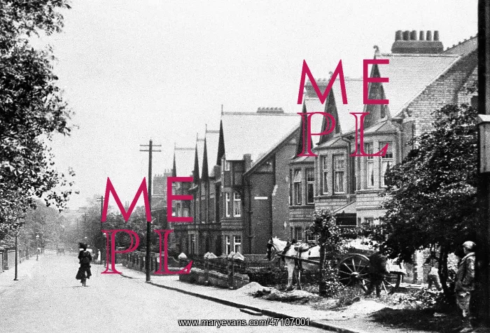  : The Grove, Gosforth early 1900s