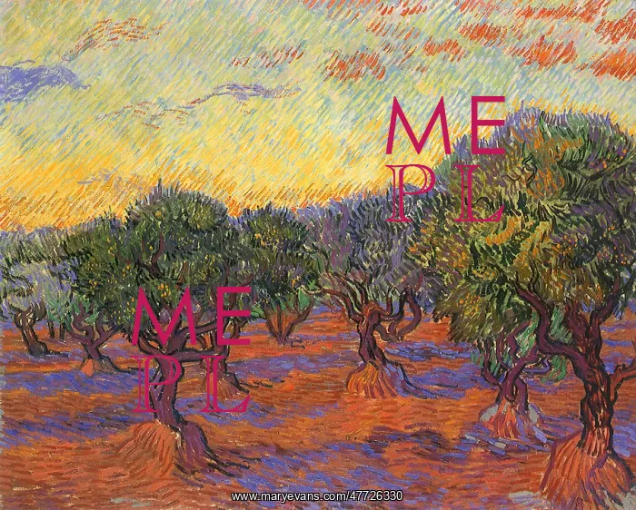 : Grove of Olive Trees, by Van Gogh : Grove of Olive Trees, by Van Gogh