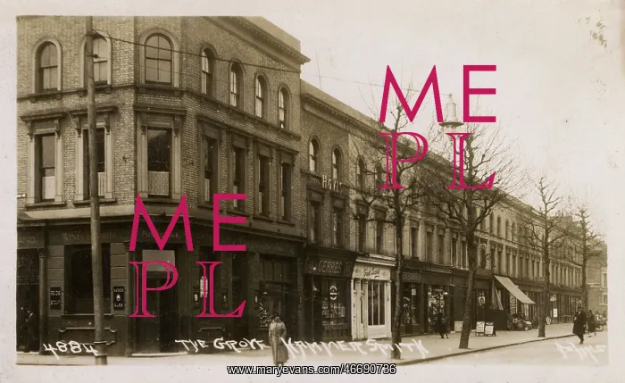 : The Grove Tavern on Hammersmith Grove, London : The Grove Tavern on Hammersmith Grove, London
