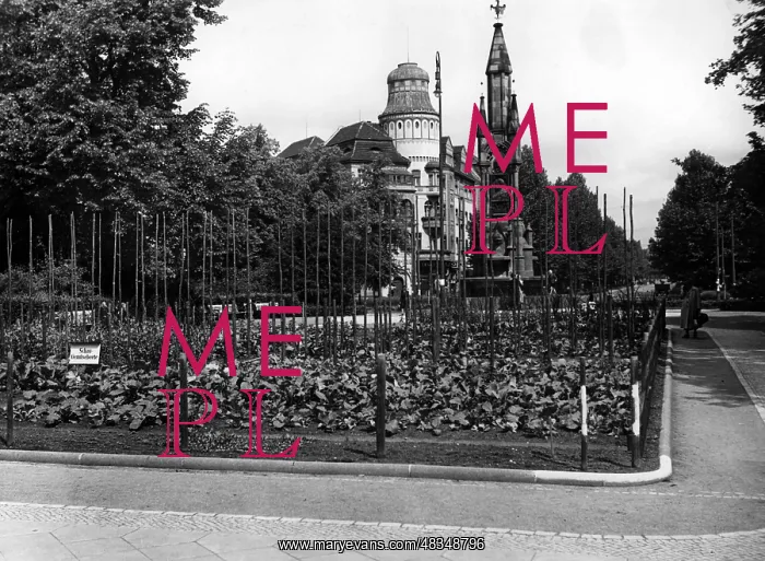 : Growing vegetables in Berlin, 1942 : Growing vegetables in Berlin, 1942