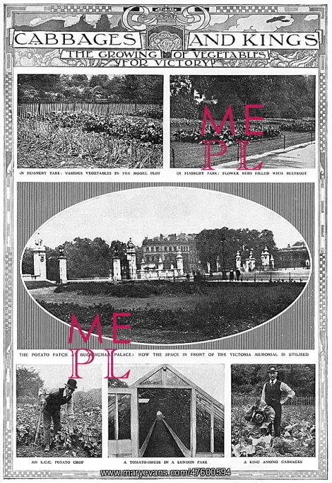 : Growing vegetables for victory, WW1 : Growing vegetables for victory, WW1