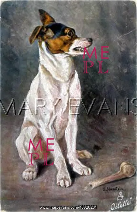  : GROWLING TERRIER