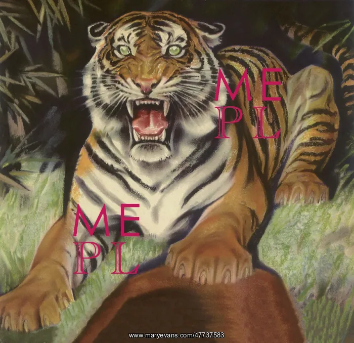  : Growling Tiger