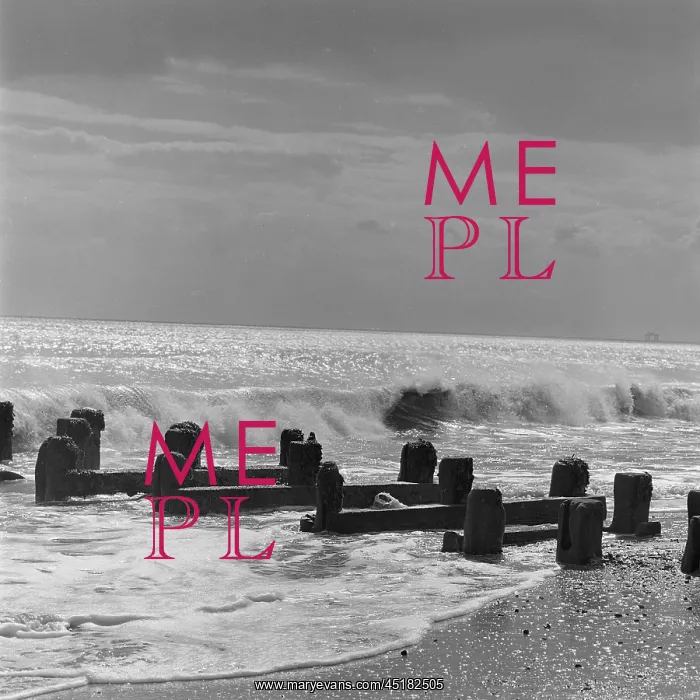 : Groynes By The Sea : Groynes By The Sea
