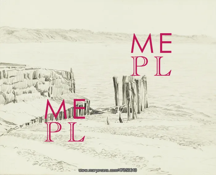 : Groynes on the seashore : Groynes on the seashore