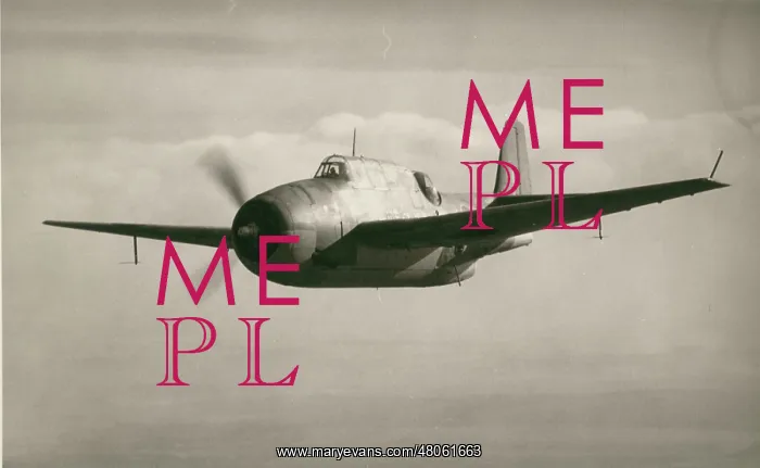 : Grumman Avenger : Grumman Avenger