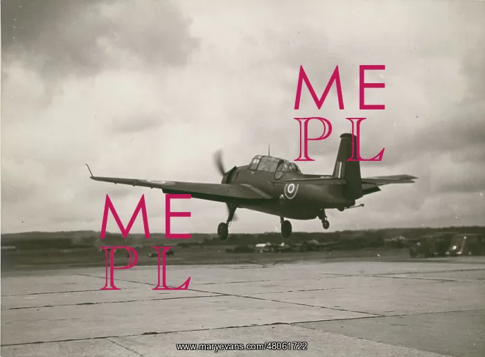 : Grumman Avenger : Grumman Avenger