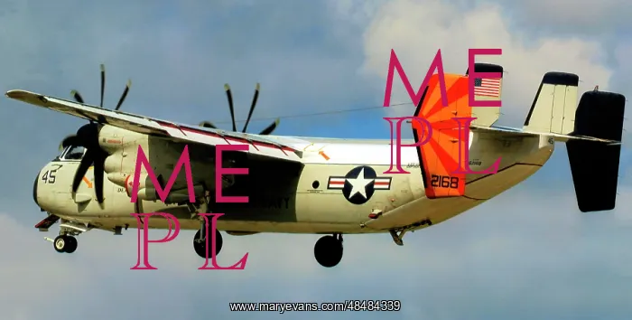 : Grumman C-2A(R) Greyhound 162168 : Grumman C-2A(R) Greyhound 162168