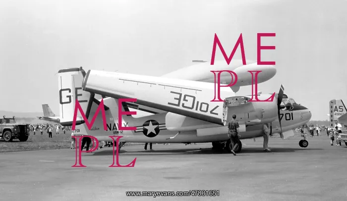 : Grumman E-1B Tracer 145959 : Grumman E-1B Tracer 145959