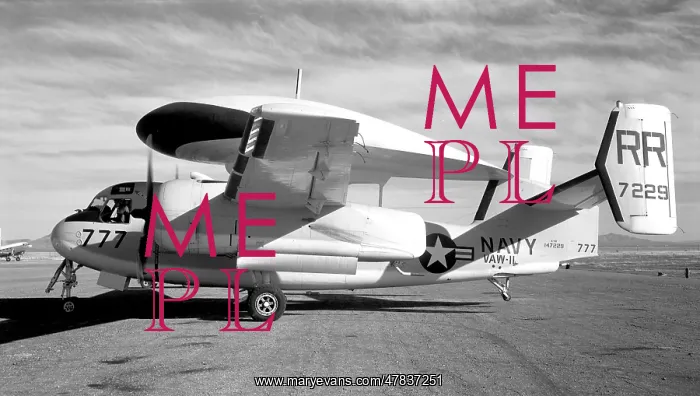 : Grumman E-1B Tracer 147229 : Grumman E-1B Tracer 147229