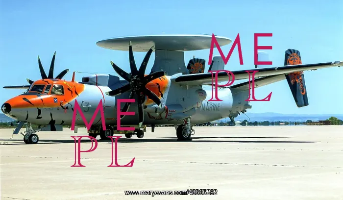 : Grumman E-2C Hawkeye 2000 3 : Grumman E-2C Hawkeye 2000 3