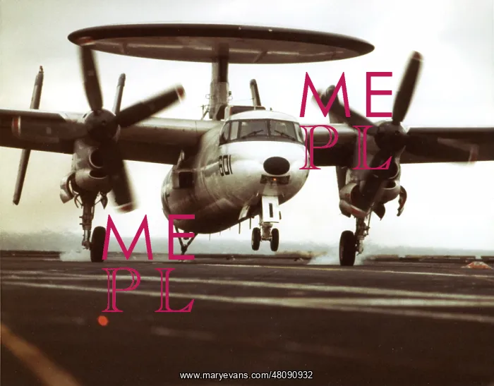 : Grumman E-2C Hawkeye