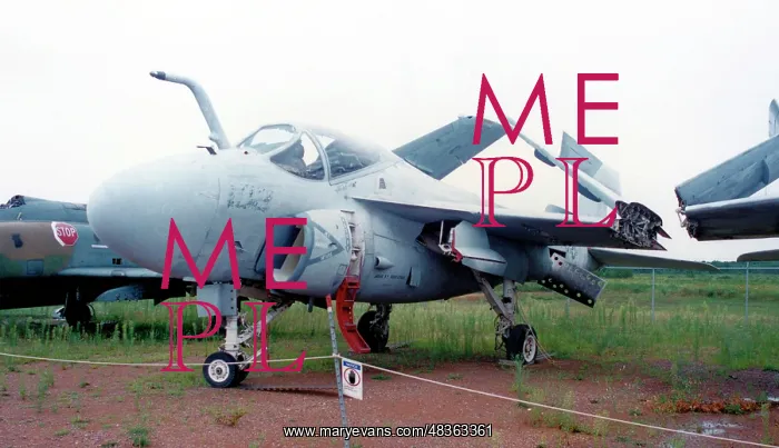 : Grumman EA-6D Intruder 156984 : Grumman EA-6D Intruder 156984
