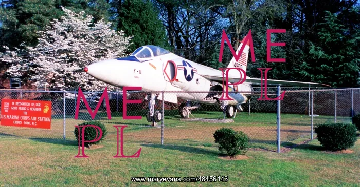 : Grumman F-11A Tiger 141802 : Grumman F-11A Tiger 141802
