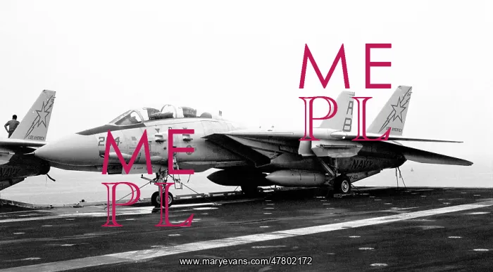 : Grumman F-14A Tomcat 159450 : Grumman F-14A Tomcat 159450