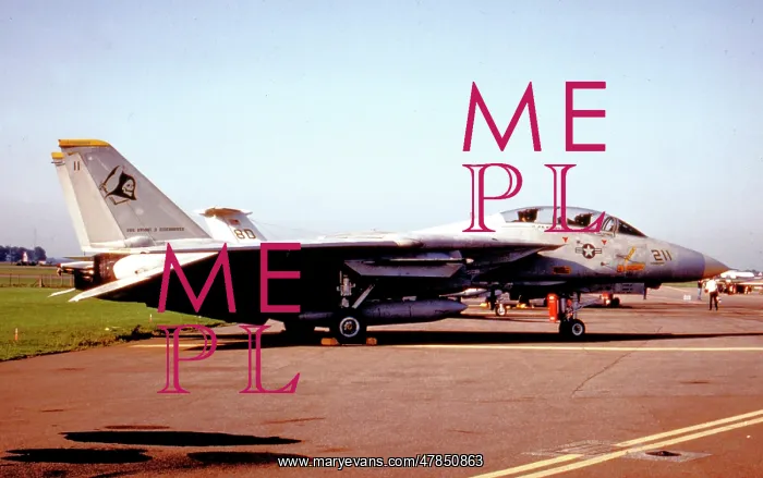 : Grumman F-14A Tomcat 160900 : Grumman F-14A Tomcat 160900