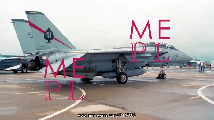 : Grumman F-14A Tomcat 161161 : Grumman F-14A Tomcat 161161