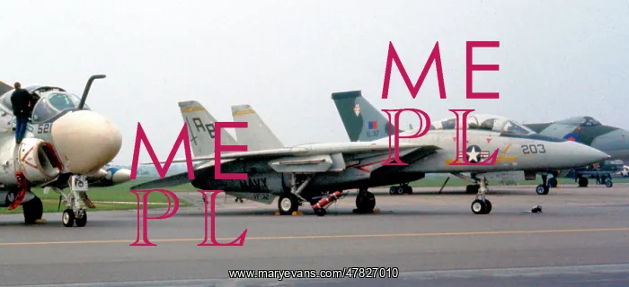 : Grumman F-14A Tomcat : Grumman F-14A Tomcat