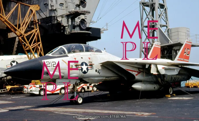 : Grumman F-14A Tomcat : Grumman F-14A Tomcat