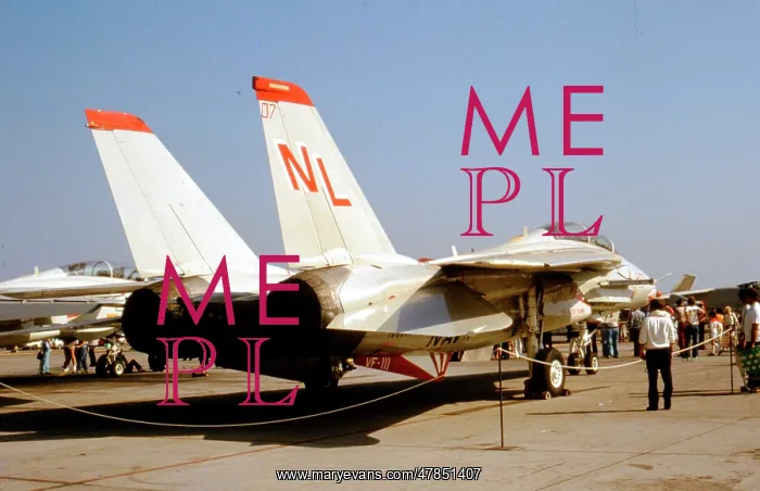 : Grumman F-14A Tomcat : Grumman F-14A Tomcat