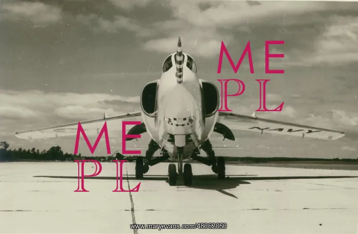 : Grumman F11F Tiger : Grumman F11F Tiger