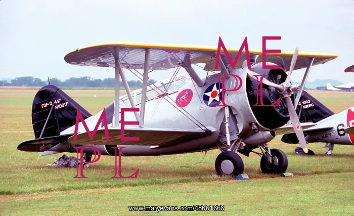 : Grumman F3F-2 Replica N100TF : Grumman F3F-2 Replica N100TF