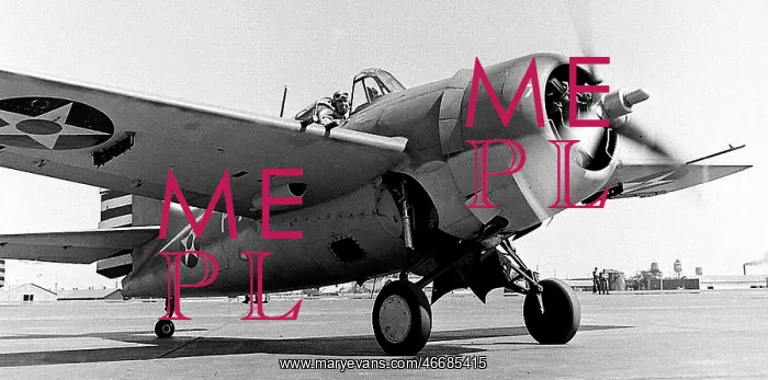  : Grumman F4F-3 Wildcat (running-up)