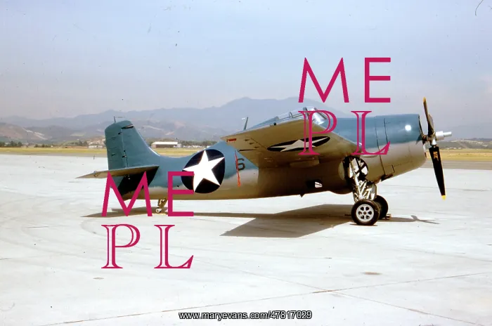  : Grumman F4F-4 Wildcat 6