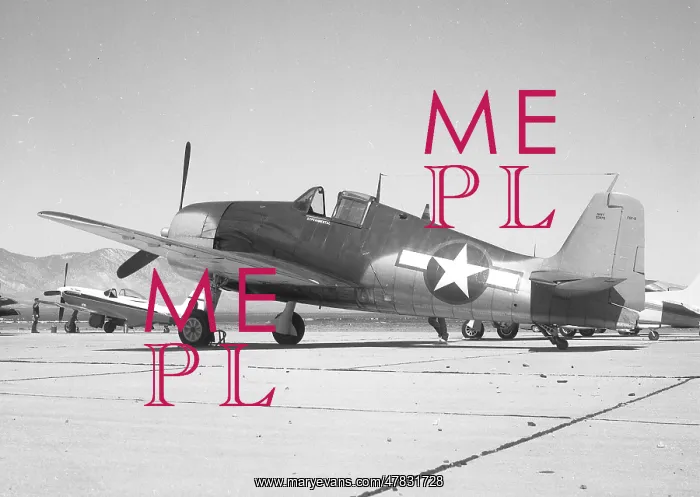 : Grumman F6F-5 Hellcat N4994V : Grumman F6F-5 Hellcat N4994V