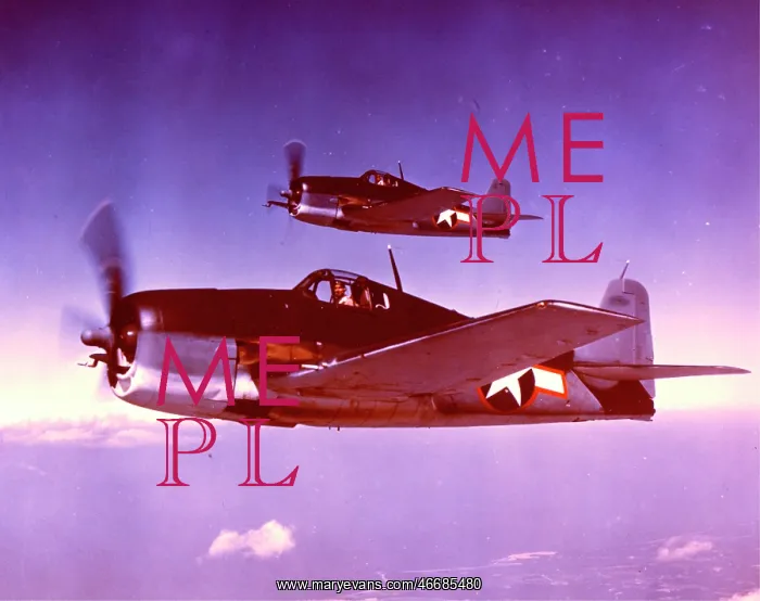 : Grumman F6F-5 Hellcat -the US Navy's highest scoring ca : Grumman F6F-5 Hellcat -the US Navy's highest scoring ca