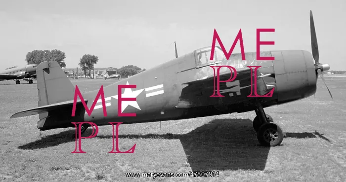 : Grumman F6F-5N Hellcat 79415 : Grumman F6F-5N Hellcat 79415