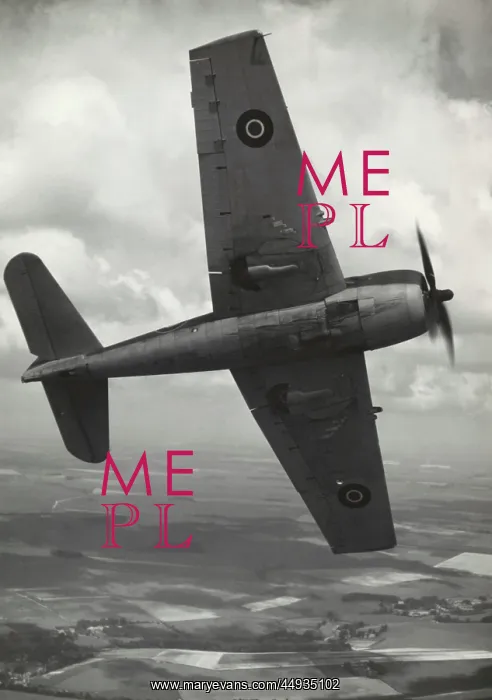 : Grumman F6F Hellcat : Grumman F6F Hellcat