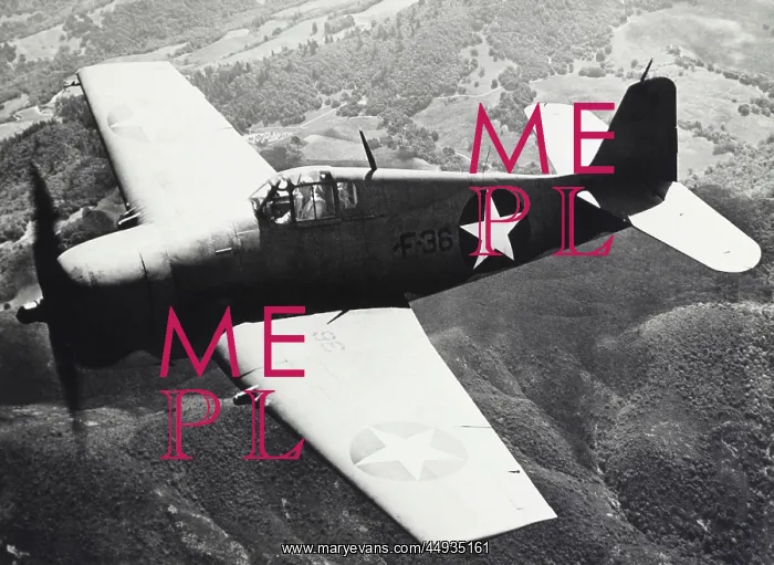 : Grumman F6F Hellcat : Grumman F6F Hellcat