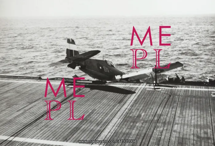 : Grumman F6F Hellcat : Grumman F6F Hellcat
