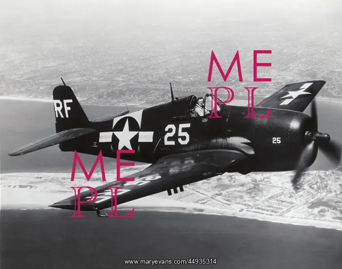 : Grumman F6F Hellcat : Grumman F6F Hellcat