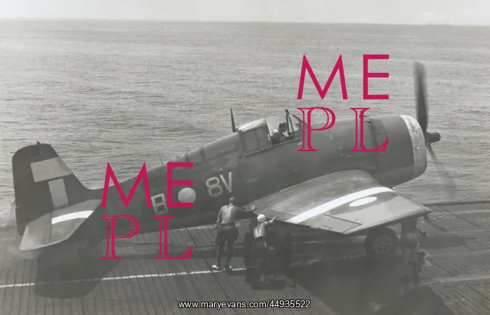: Grumman F6F Hellcat : Grumman F6F Hellcat