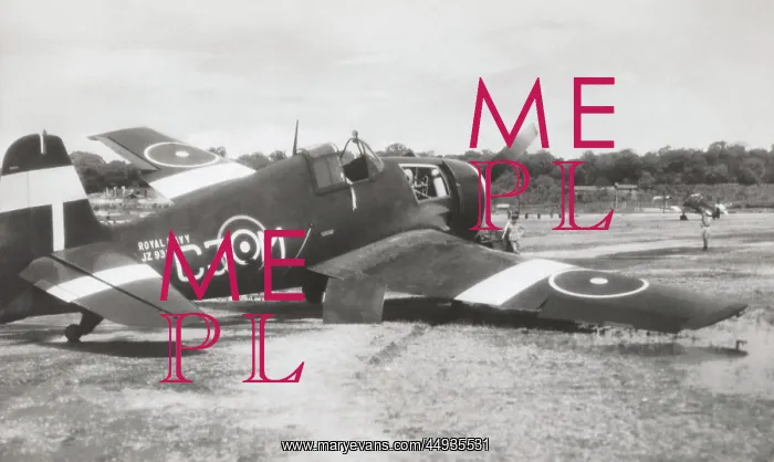 : Grumman F6F Hellcat : Grumman F6F Hellcat