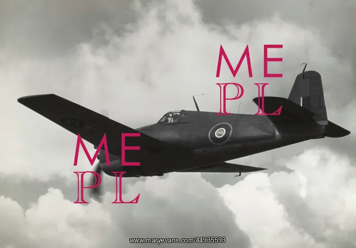 : Grumman F6F Hellcat : Grumman F6F Hellcat