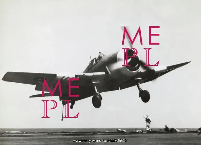 : Grumman F6F Hellcat : Grumman F6F Hellcat