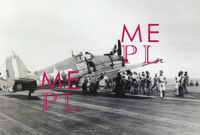 : Grumman F6F Hellcat : Grumman F6F Hellcat