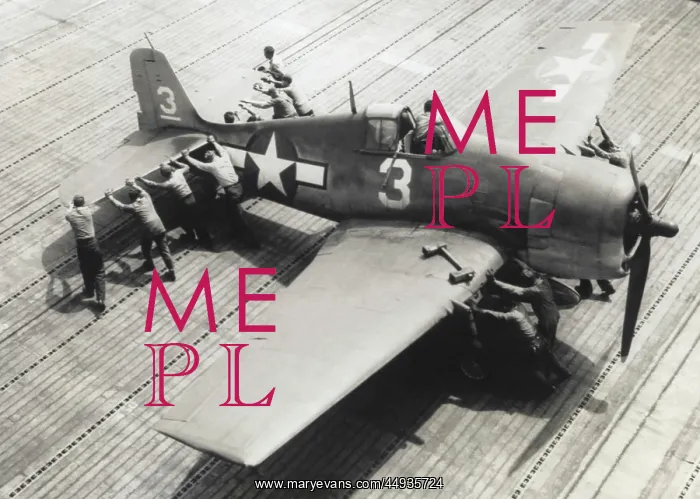 : Grumman F6F Hellcat : Grumman F6F Hellcat